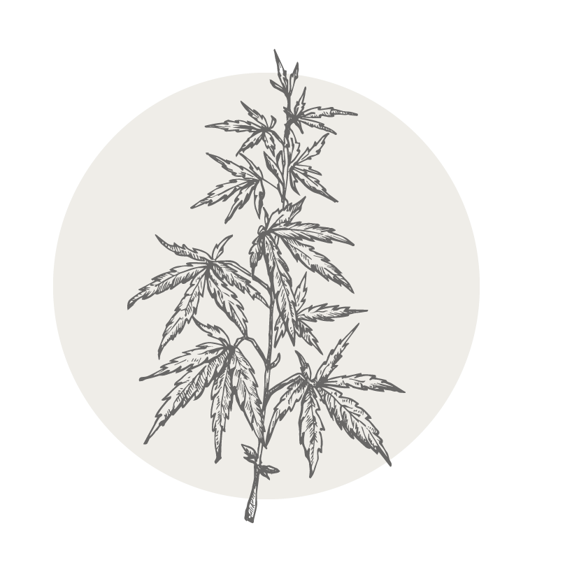 Hemp