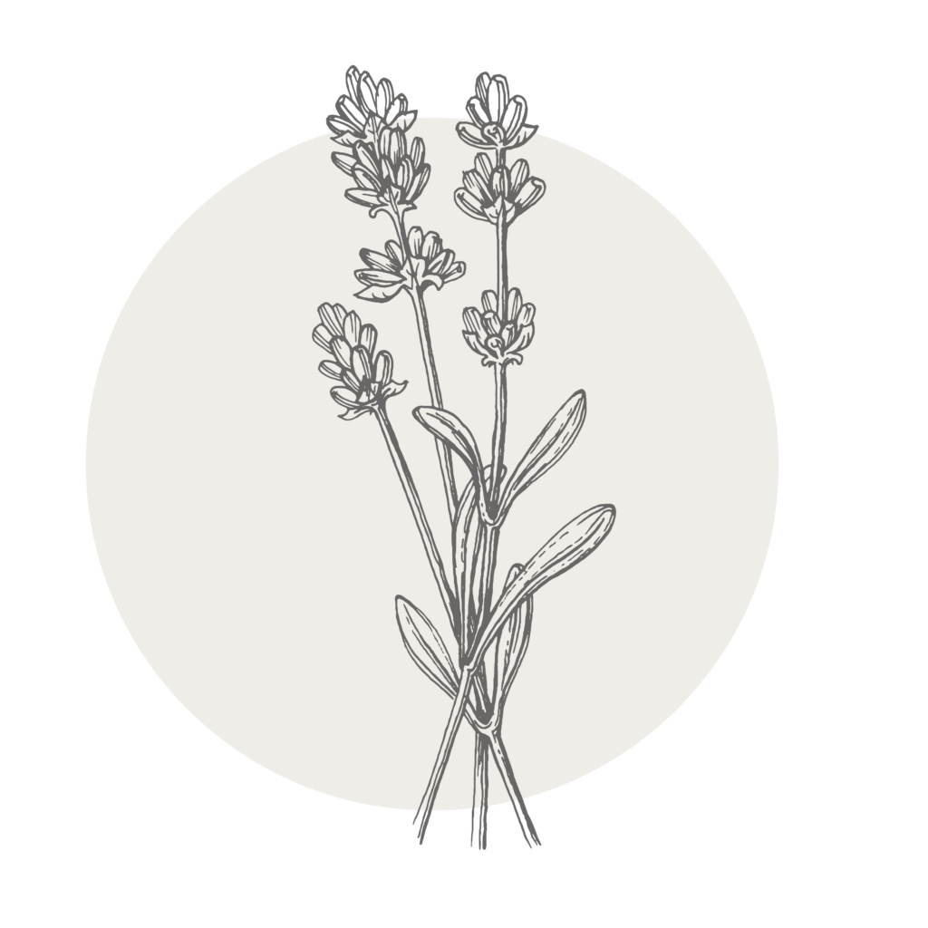 Lavender